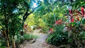 Adventure Dominicana All Inclusive and Macao