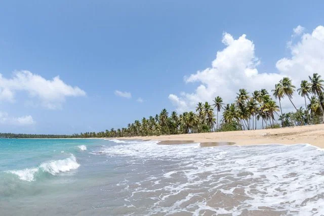 Witch Mountain and Limon Beach - Image 3