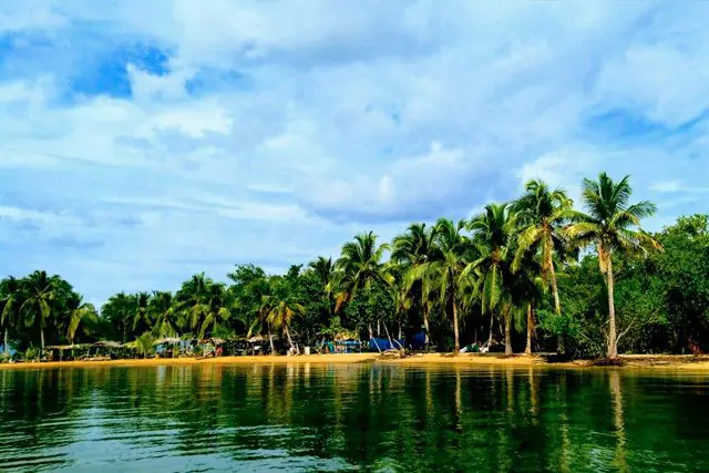 Samana mega program - Image 6