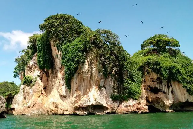 Samana mega program - Image 3